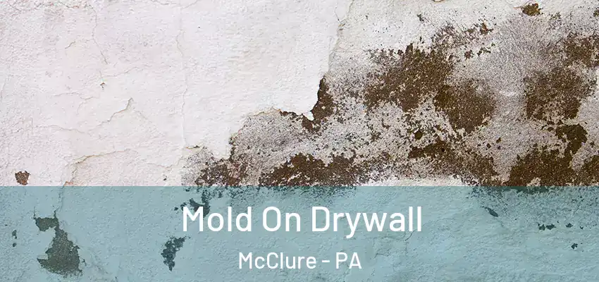  Mold On Drywall McClure - PA