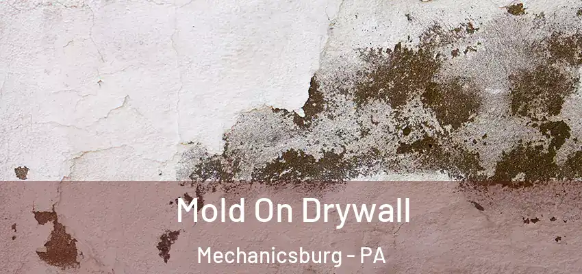 Mold On Drywall Mechanicsburg - PA