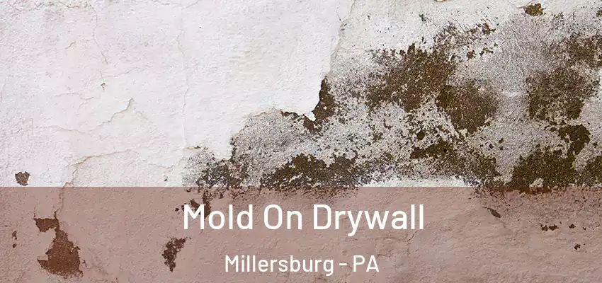 Mold On Drywall Millersburg - PA