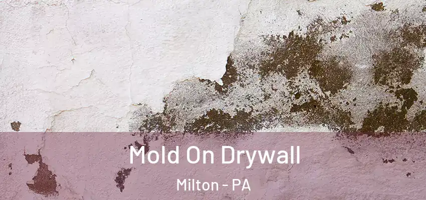  Mold On Drywall Milton - PA