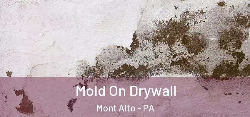  Mold On Drywall Mont Alto - PA