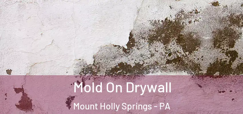 Mold On Drywall Mount Holly Springs - PA