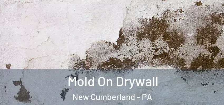  Mold On Drywall New Cumberland - PA
