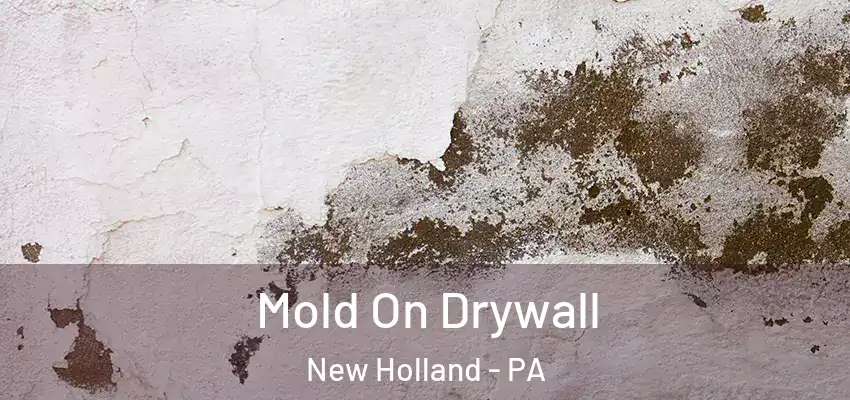 Mold On Drywall New Holland - PA