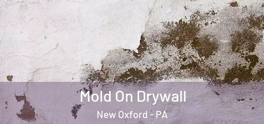 Mold On Drywall New Oxford - PA