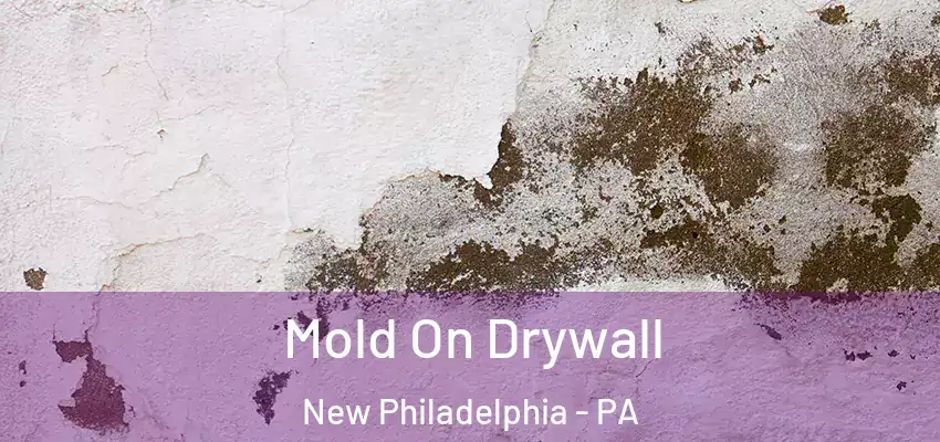  Mold On Drywall New Philadelphia - PA