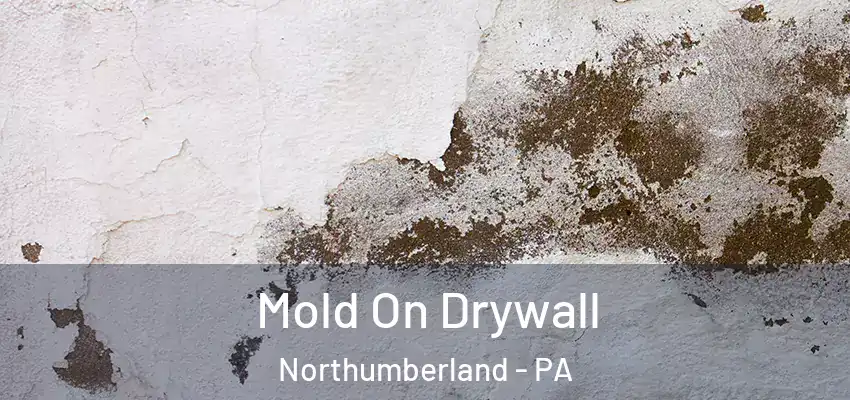  Mold On Drywall Northumberland - PA