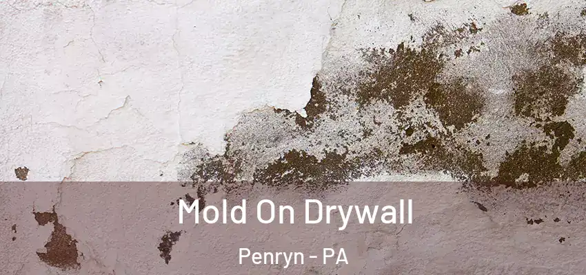  Mold On Drywall Penryn - PA