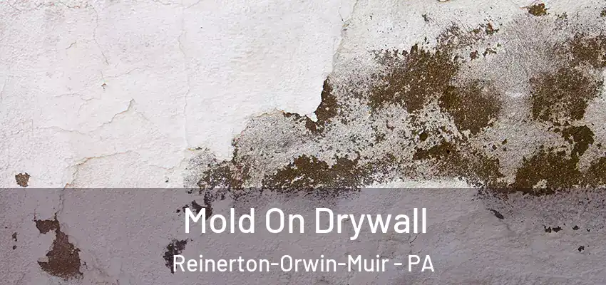 Mold On Drywall Reinerton-Orwin-Muir - PA