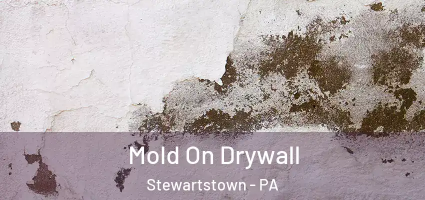  Mold On Drywall Stewartstown - PA