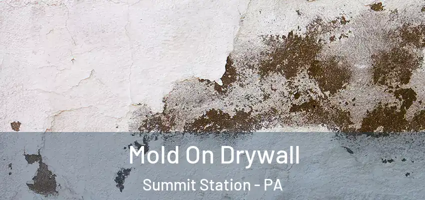 Mold On Drywall Summit Station - PA