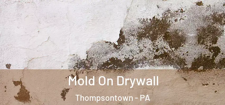 Mold On Drywall Thompsontown - PA