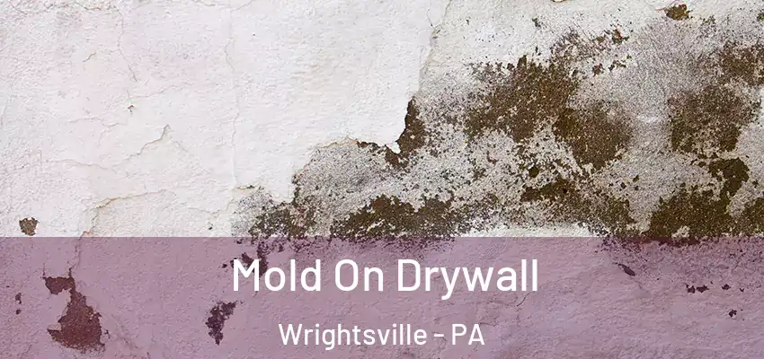  Mold On Drywall Wrightsville - PA