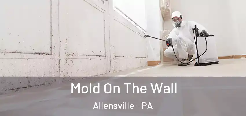 Mold On The Wall Allensville - PA