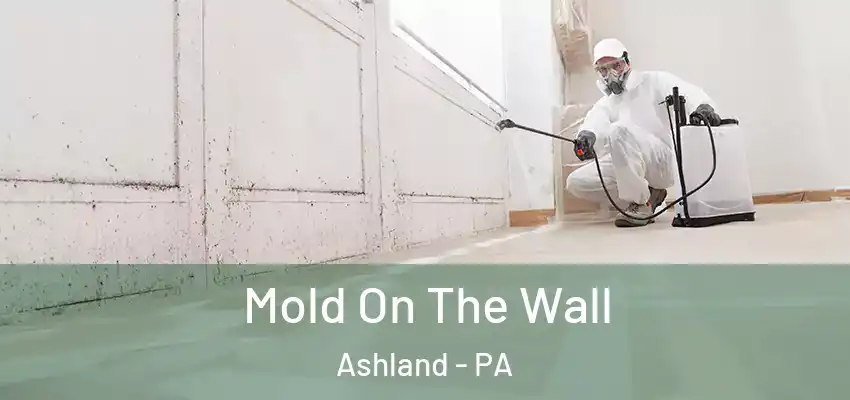Mold On The Wall Ashland - PA