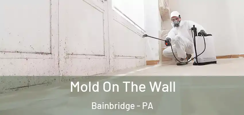  Mold On The Wall Bainbridge - PA