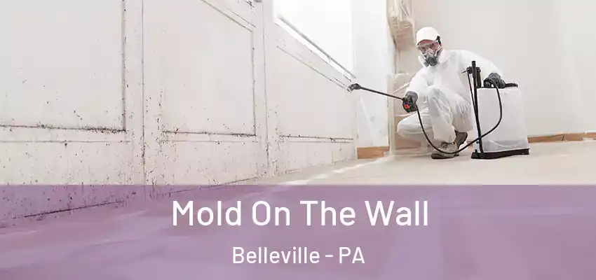 Mold On The Wall Belleville - PA