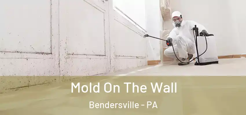  Mold On The Wall Bendersville - PA