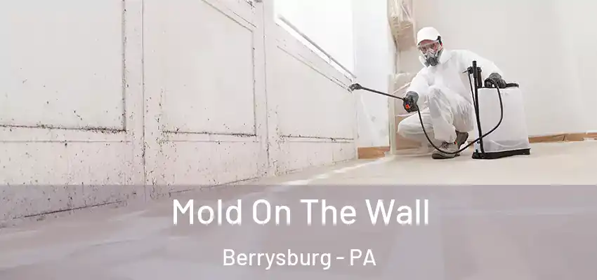 Mold On The Wall Berrysburg - PA