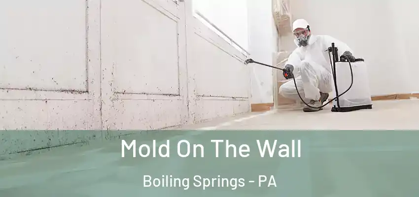 Mold On The Wall Boiling Springs - PA