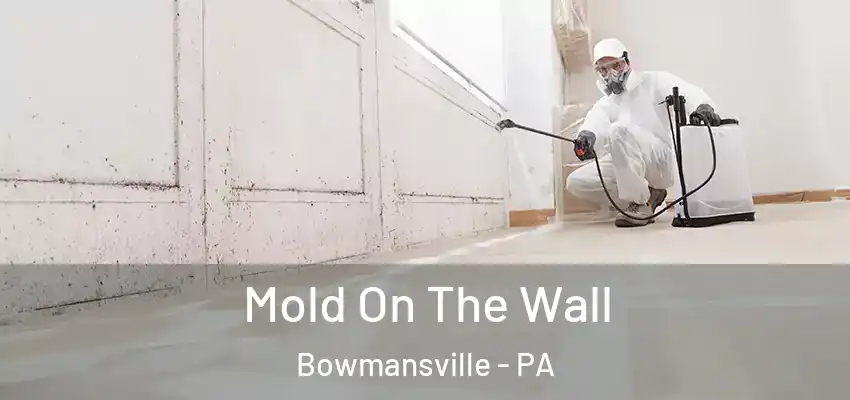  Mold On The Wall Bowmansville - PA