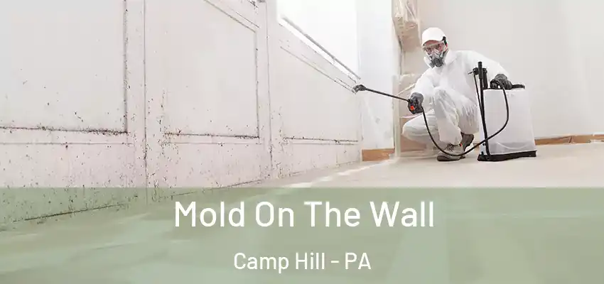  Mold On The Wall Camp Hill - PA