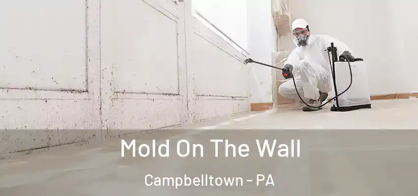 Mold On The Wall Campbelltown - PA
