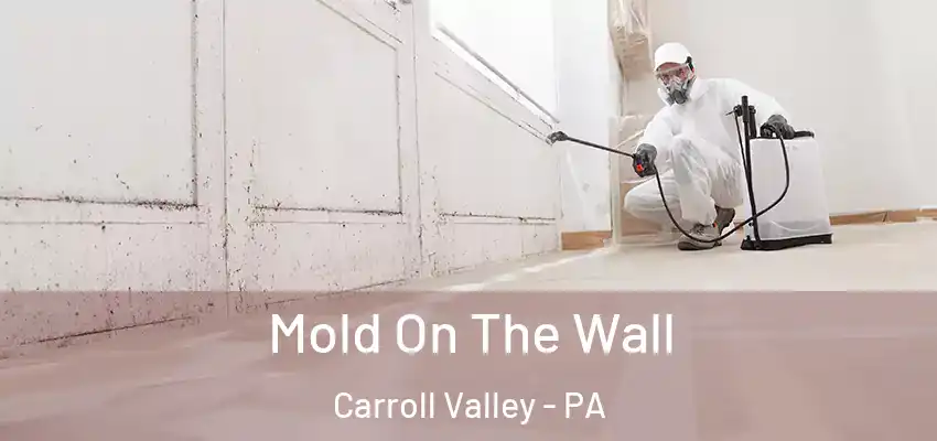  Mold On The Wall Carroll Valley - PA