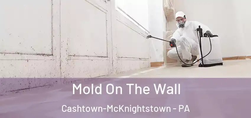  Mold On The Wall Cashtown-McKnightstown - PA