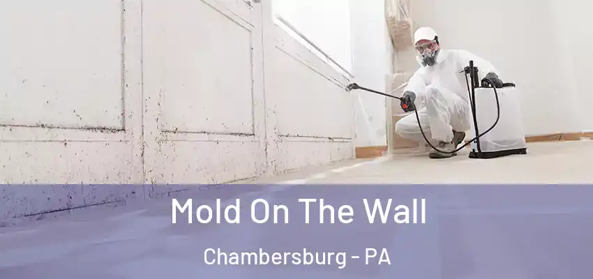  Mold On The Wall Chambersburg - PA
