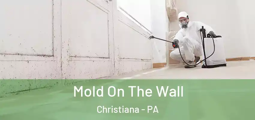 Mold On The Wall Christiana - PA