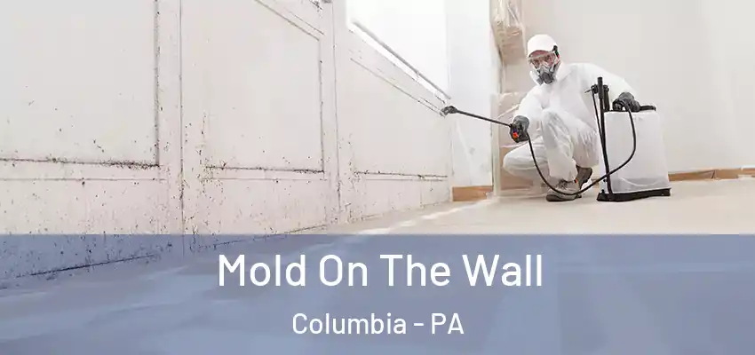  Mold On The Wall Columbia - PA