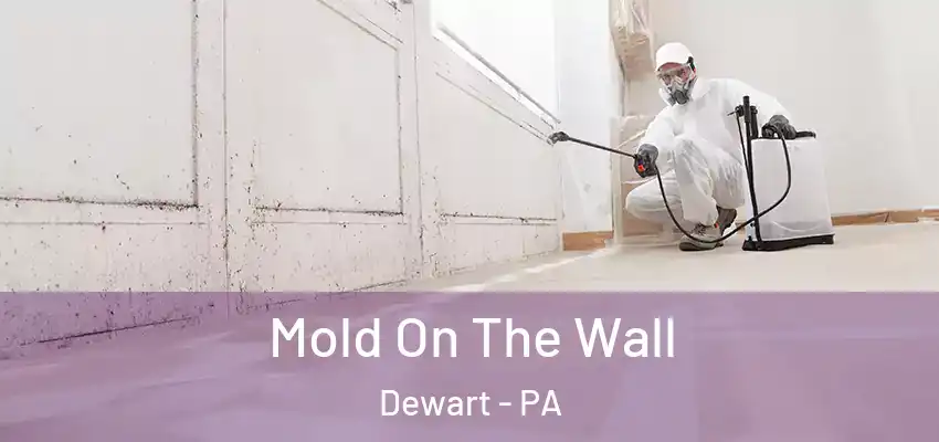  Mold On The Wall Dewart - PA