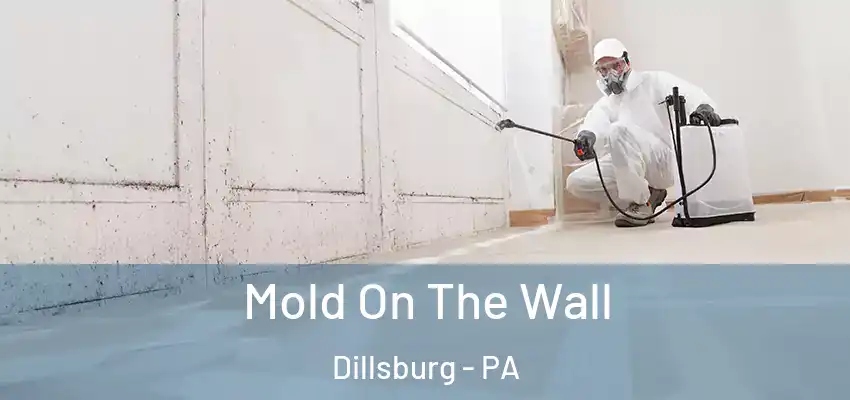  Mold On The Wall Dillsburg - PA