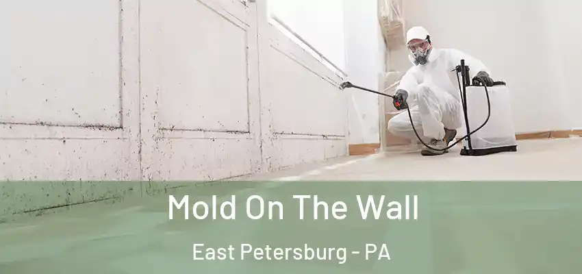 Mold On The Wall East Petersburg - PA