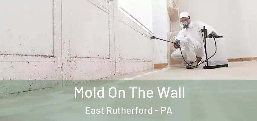 Mold On The Wall East Rutherford - PA