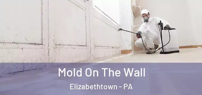 Mold On The Wall Elizabethtown - PA