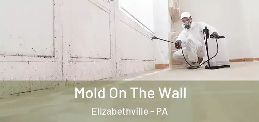  Mold On The Wall Elizabethville - PA