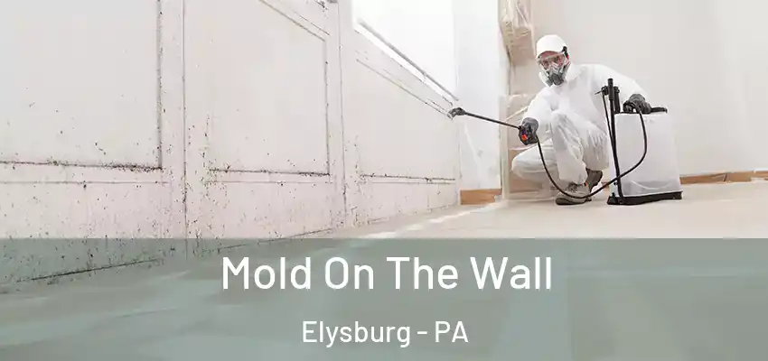  Mold On The Wall Elysburg - PA