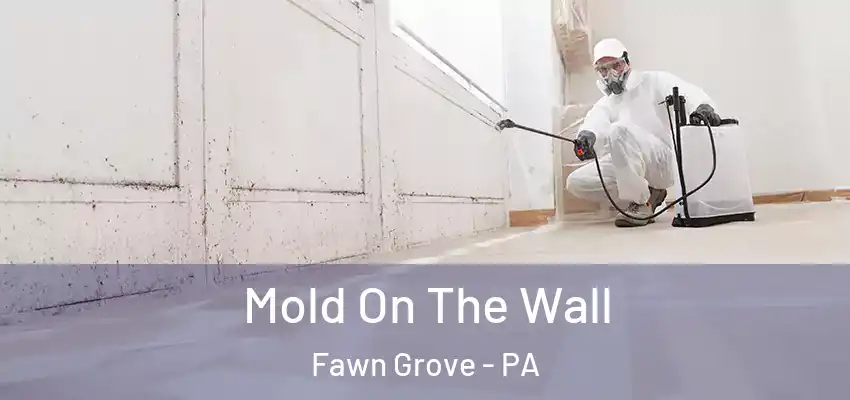  Mold On The Wall Fawn Grove - PA