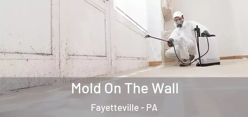  Mold On The Wall Fayetteville - PA