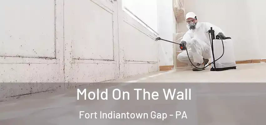 Mold On The Wall Fort Indiantown Gap - PA