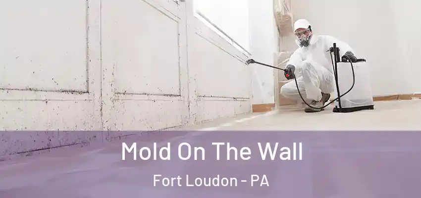 Mold On The Wall Fort Loudon - PA