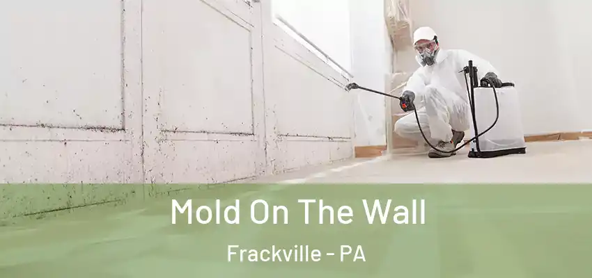  Mold On The Wall Frackville - PA