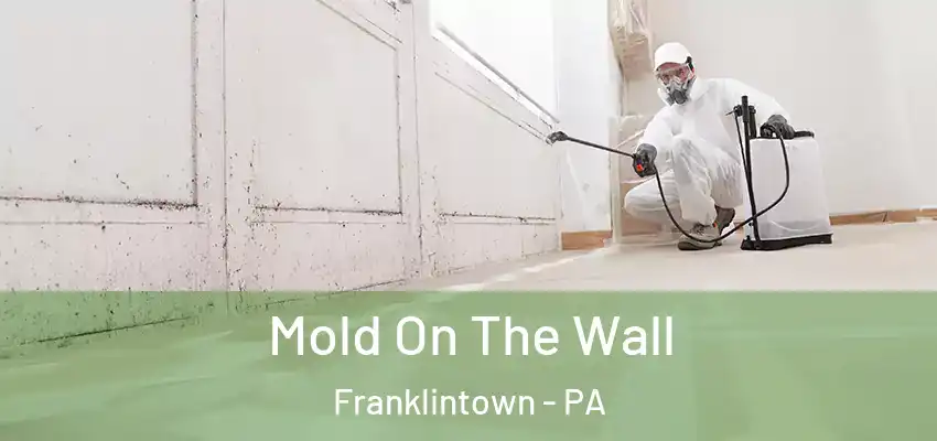Mold On The Wall Franklintown - PA