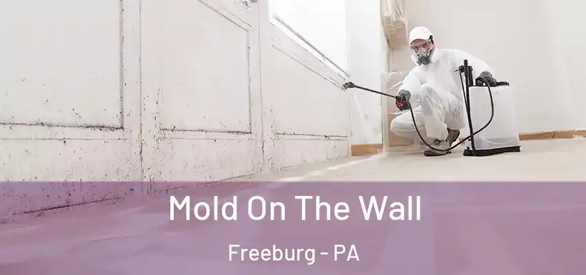 Mold On The Wall Freeburg - PA
