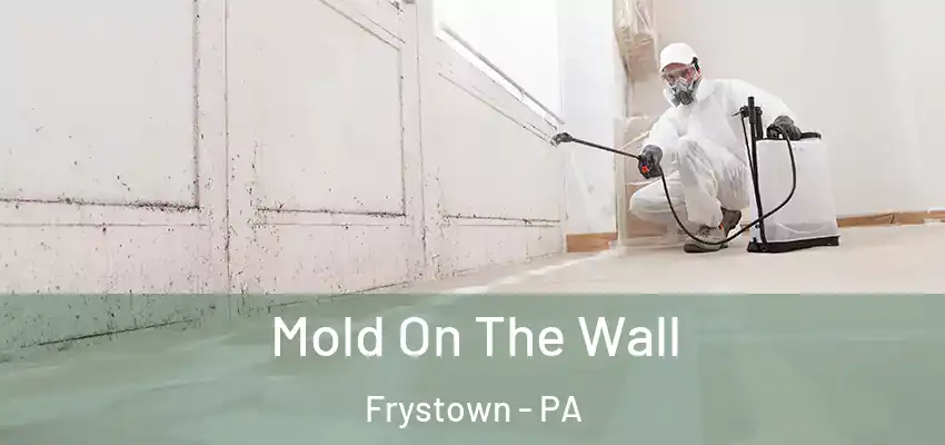 Mold On The Wall Frystown - PA