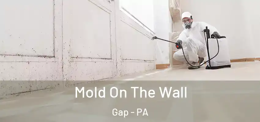  Mold On The Wall Gap - PA