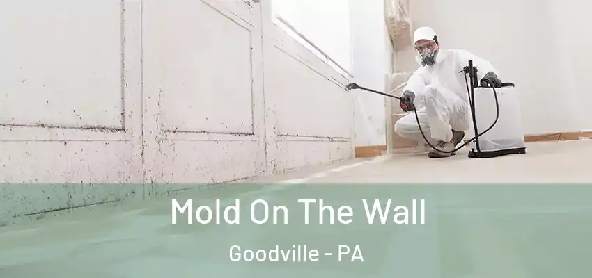  Mold On The Wall Goodville - PA