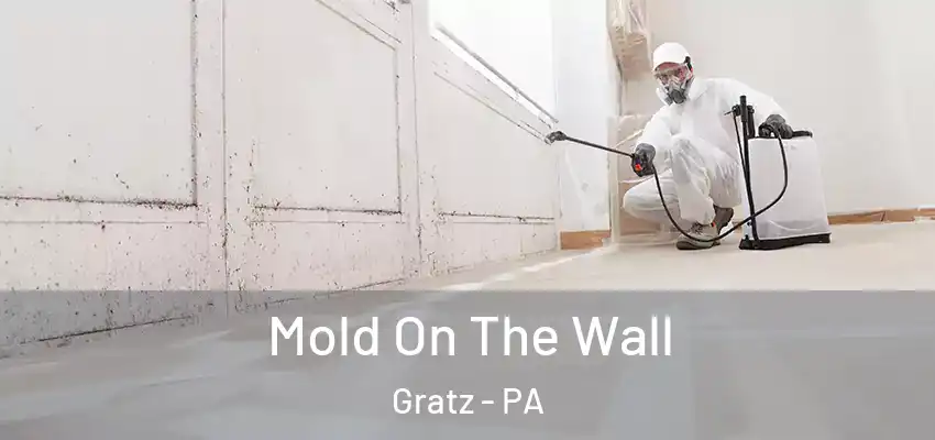  Mold On The Wall Gratz - PA